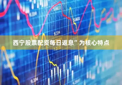 西宁股票配资每日返息”为核心特点