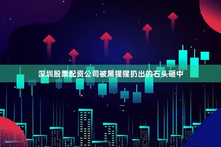 深圳股票配资公司被黑猩猩扔出的石头砸中
