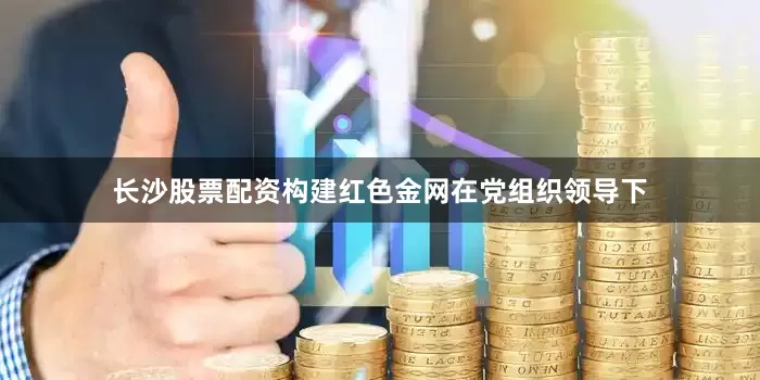 长沙股票配资构建红色金网在党组织领导下