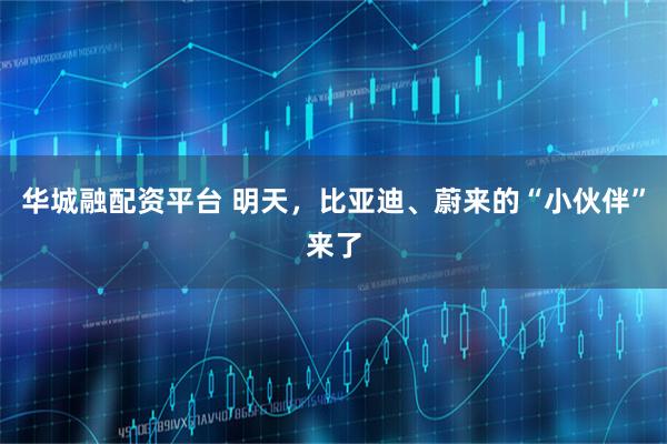 华城融配资平台 明天，比亚迪、蔚来的“小伙伴”来了