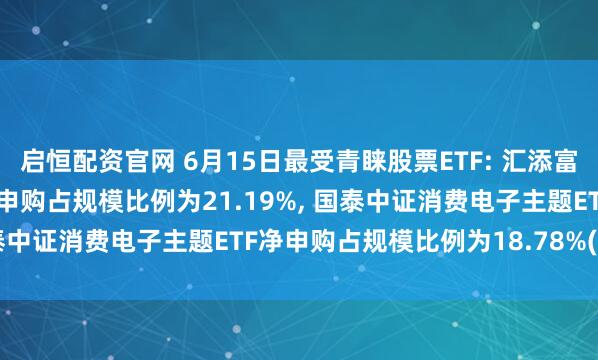 启恒配资官网 6月15日最受青睐股票ETF: 汇添富上证科创板新材料ETF净申购占规模比例为21.19%, 国泰中证消费电子主题ETF净申购占规模比例为18.78%(名单)